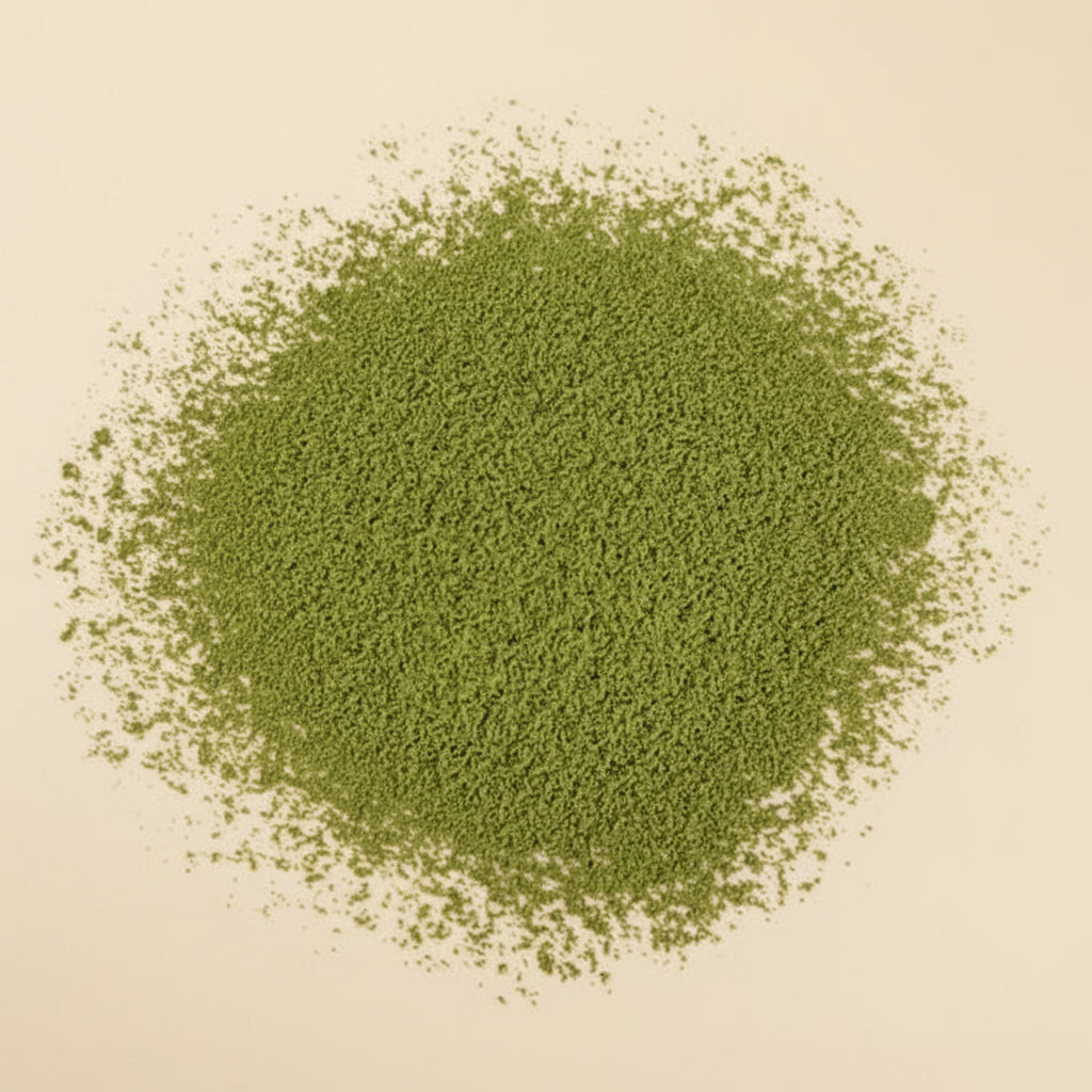 Matcha de l’Empire du Milieu BIO